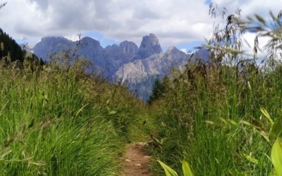 Pasqua trekking e relax sulle Dolomiti in Trentino