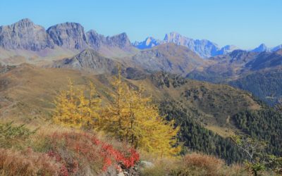 Foliage – Weekend trekking i “colori dell’autunno”